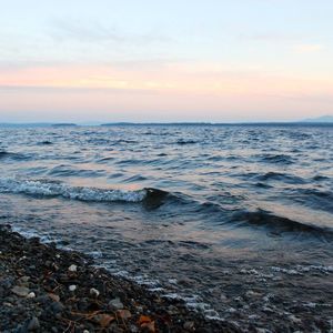 Meet your Posher, Justine